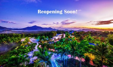 AI WORLD In Comeback Mode